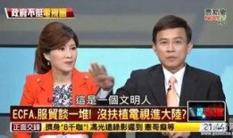 爆料台湾名嘴名单最新消息,台湾名嘴名单大揭秘，热点事件背后真相揭晓